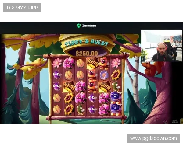 星际娱乐pg热门游戏推荐与最新活动资讯全方位一站式掌握